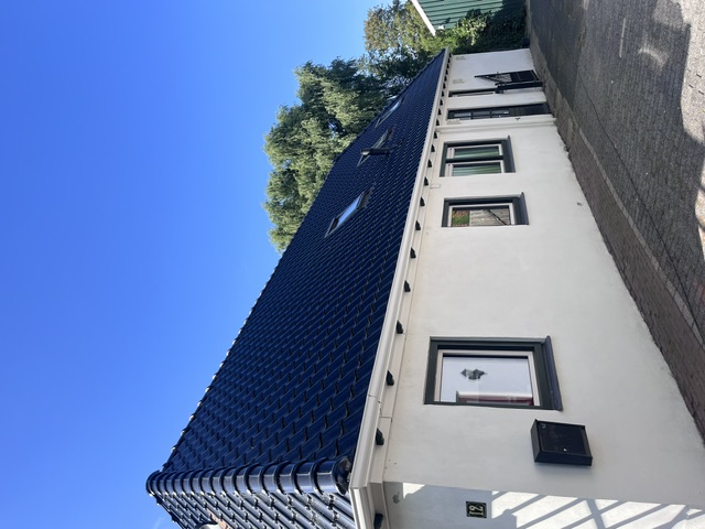 Dakrenovatie Wier