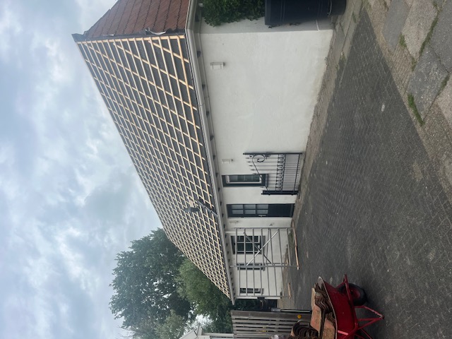 Dakrenovatie Wier — foto 3